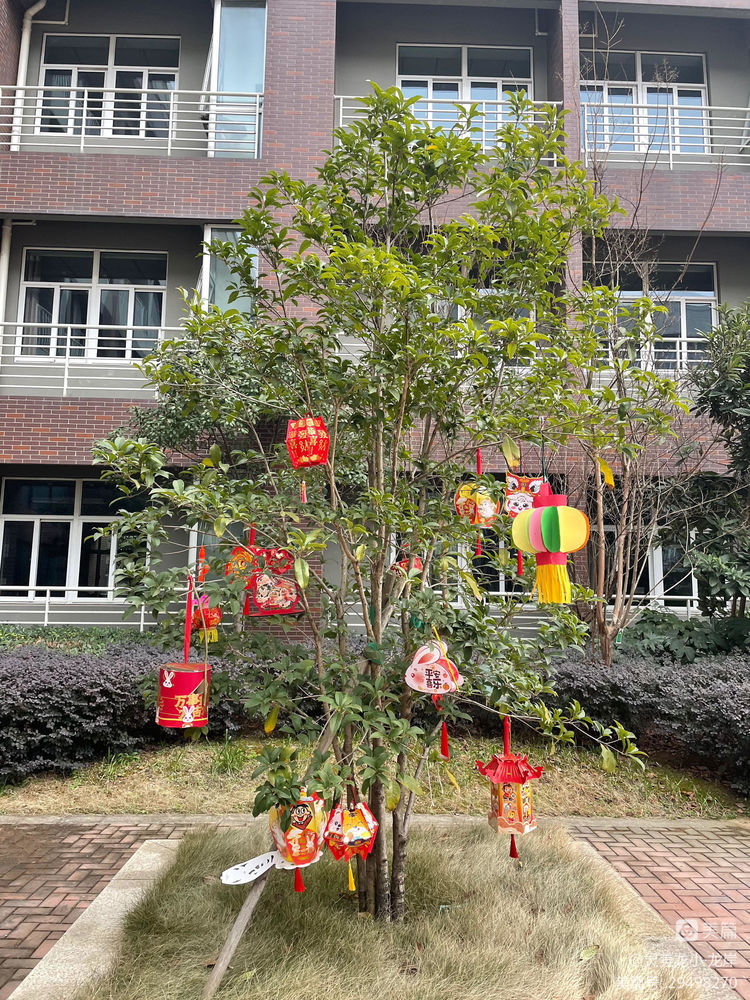 【灵美龙小·龙岸】团团圆圆闹元宵——龙潭中心小学龙岸花园我们的节日·元宵节系列活动_html_255b1160.jpg