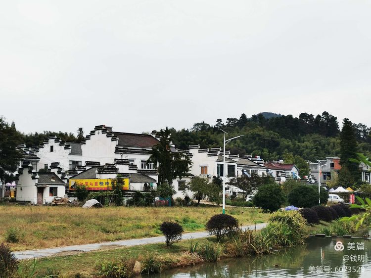【灵美龙小  退休党支部】山水之间，重阳惬意