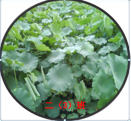 【江畔先锋·榜样教师】龙潭中心小学江畔人家校区张娟老师优秀事迹