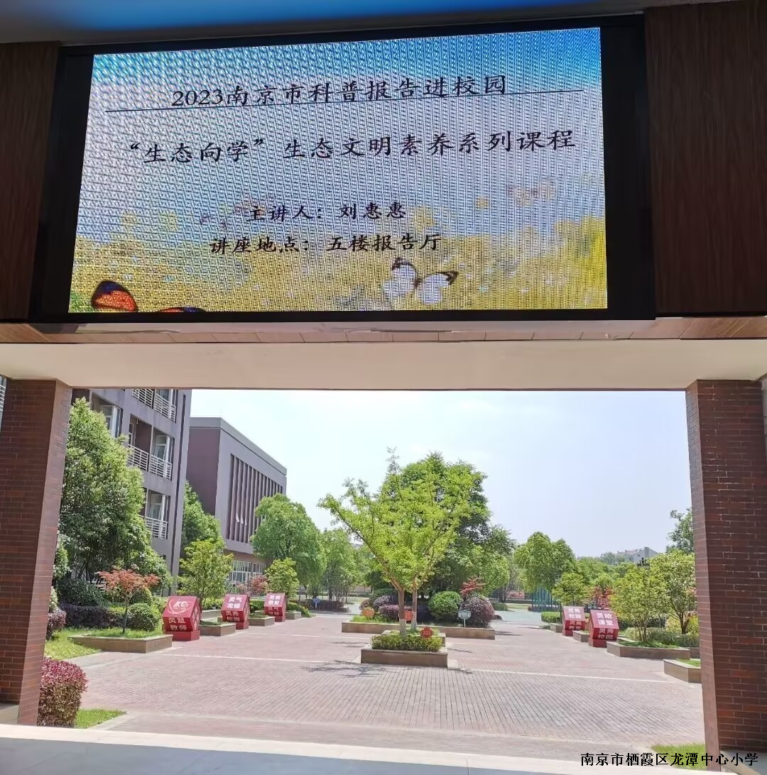 【灵美龙小】蝶翼舞动，科普研学