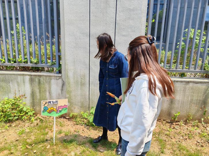 250428——栖幼翡翠天域园科学组活动_html_2f7453e.jpg