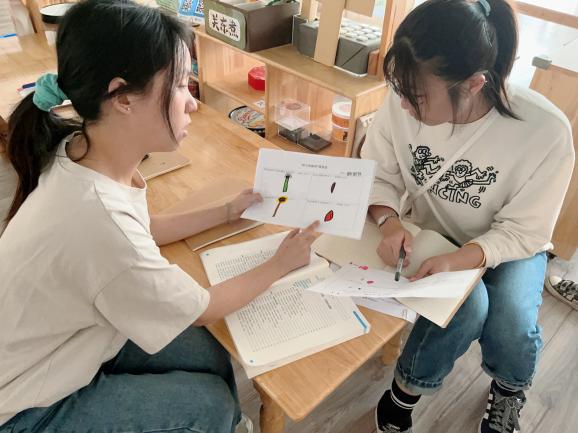 230928聚焦课程审议 共促幼儿成长——栖霞幼儿园石埠湾园大班组《标志的世界》课程审议活动 朱美安_html_2f2533b8.jpg