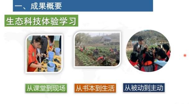 230718探索激发学习  引领深度实践——栖幼翡翠天域园教科研大讲坛学习活动_html_78540939.jpg
