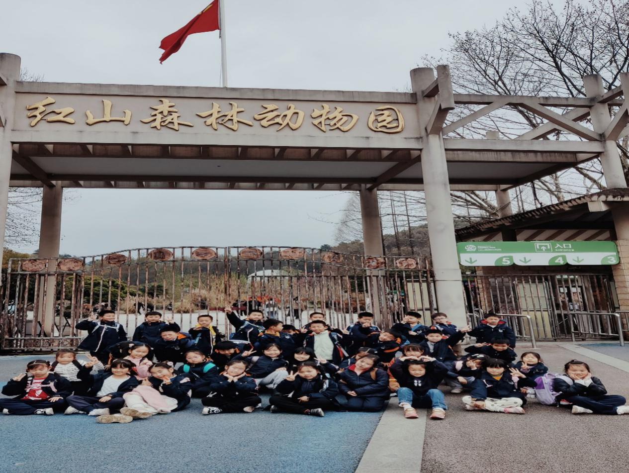 【湖畔·学生活动】探秘红山动物园——记金陵小学（仙林湖校区）一年级春季社会实践活动_html_m4a7f1ba6.jpg