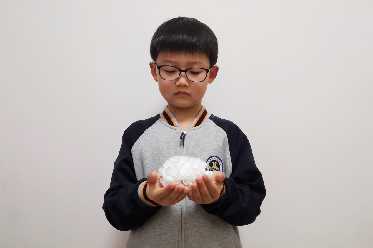 【博学广志】清明云祭扫 丰碑励童心——金陵小学广志路校区清明节云端祭扫活动(1)_html_m134a6287.jpg
