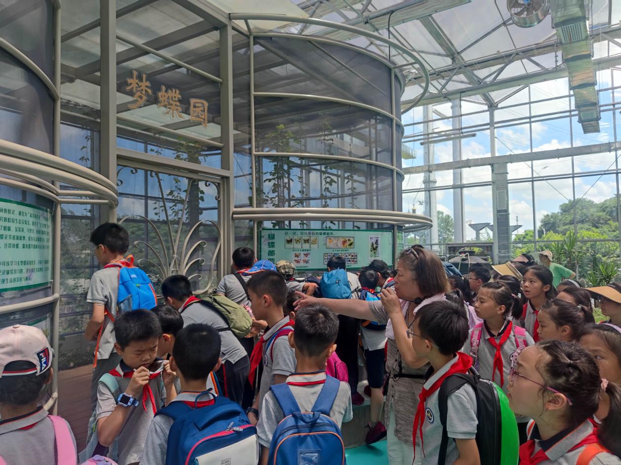 【博学广志】夏日劳作晓农事 科技研学促成长——记金陵小学（广志路校区）7.27日劳动研学活动_html_m437b7682.jpg