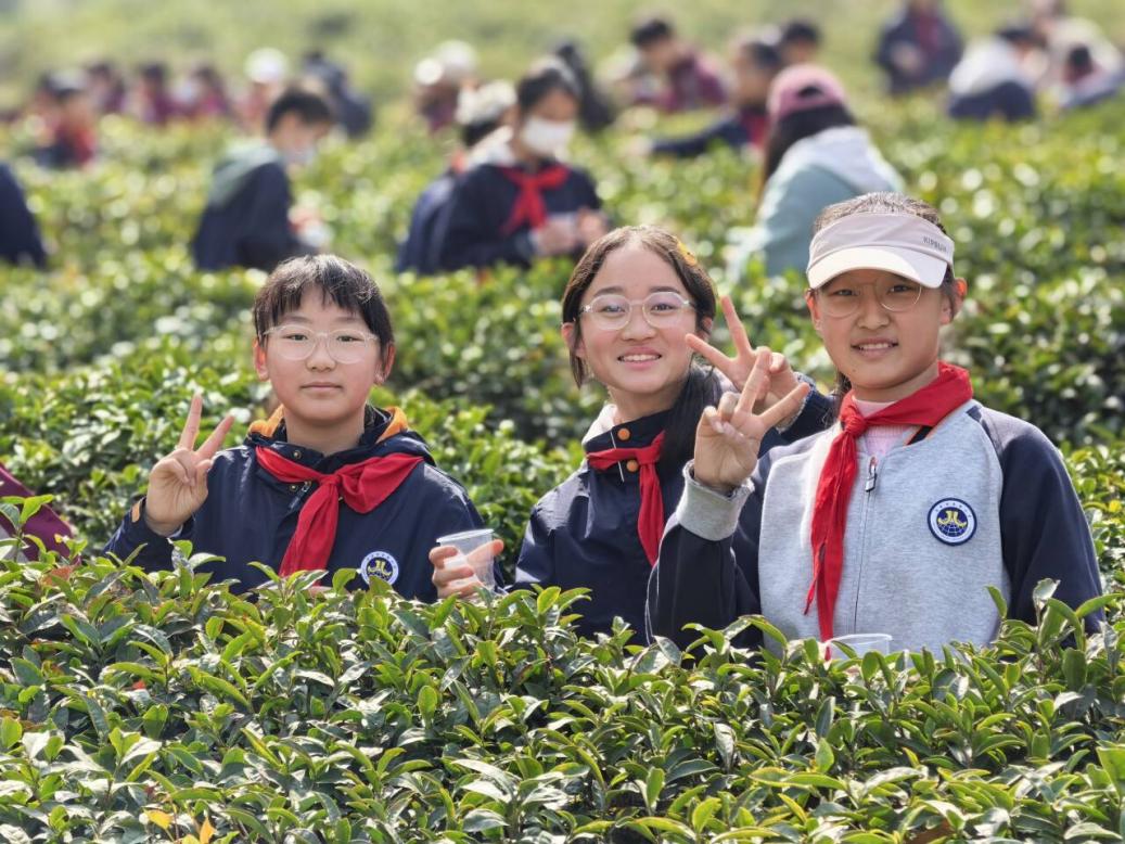 【湖畔·学生活动】走进春天 走进茶香 走进信仰——金陵小学（仙林湖校区）六年级春季综合实践活动_html_m3d79259c.jpg