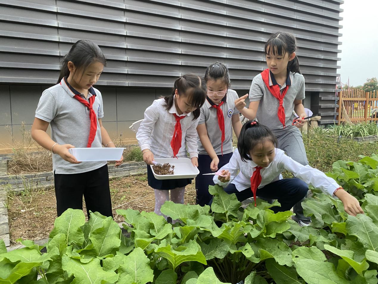 【博学广志】专家引领，助力学校特色发展_html_m34f3ac8c.jpg