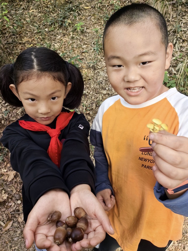 【湖畔·学生活动】向阳而生，逐光而行——金陵小学（仙林湖校区）二年级（1）班亲子登山活动_html_m5f276fa.jpg