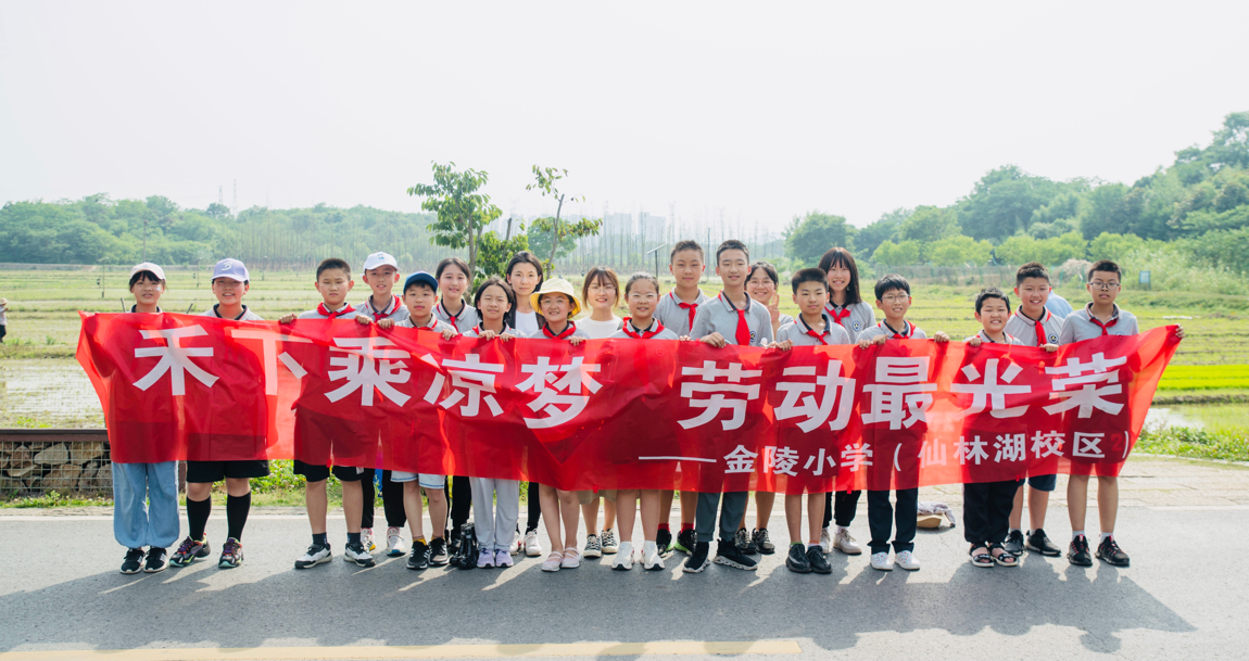 【湖畔光影】田间插秧践初心 红色传承担使命——记金陵小学（仙林湖校区）劳动实践活动_html_204524b0.png
