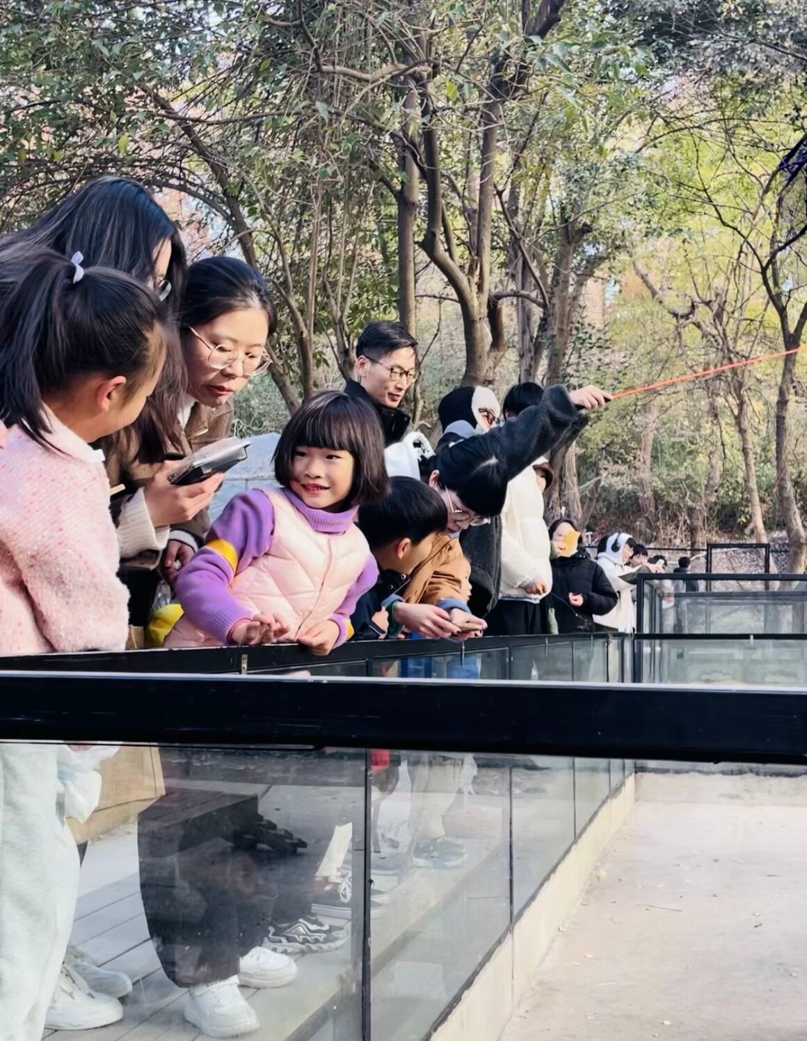 【湖畔·红领巾】同游栖霞山，共赏红枫节——记金陵小学（仙林湖校区）2023级5班团建活动_html_m46857393.jpg