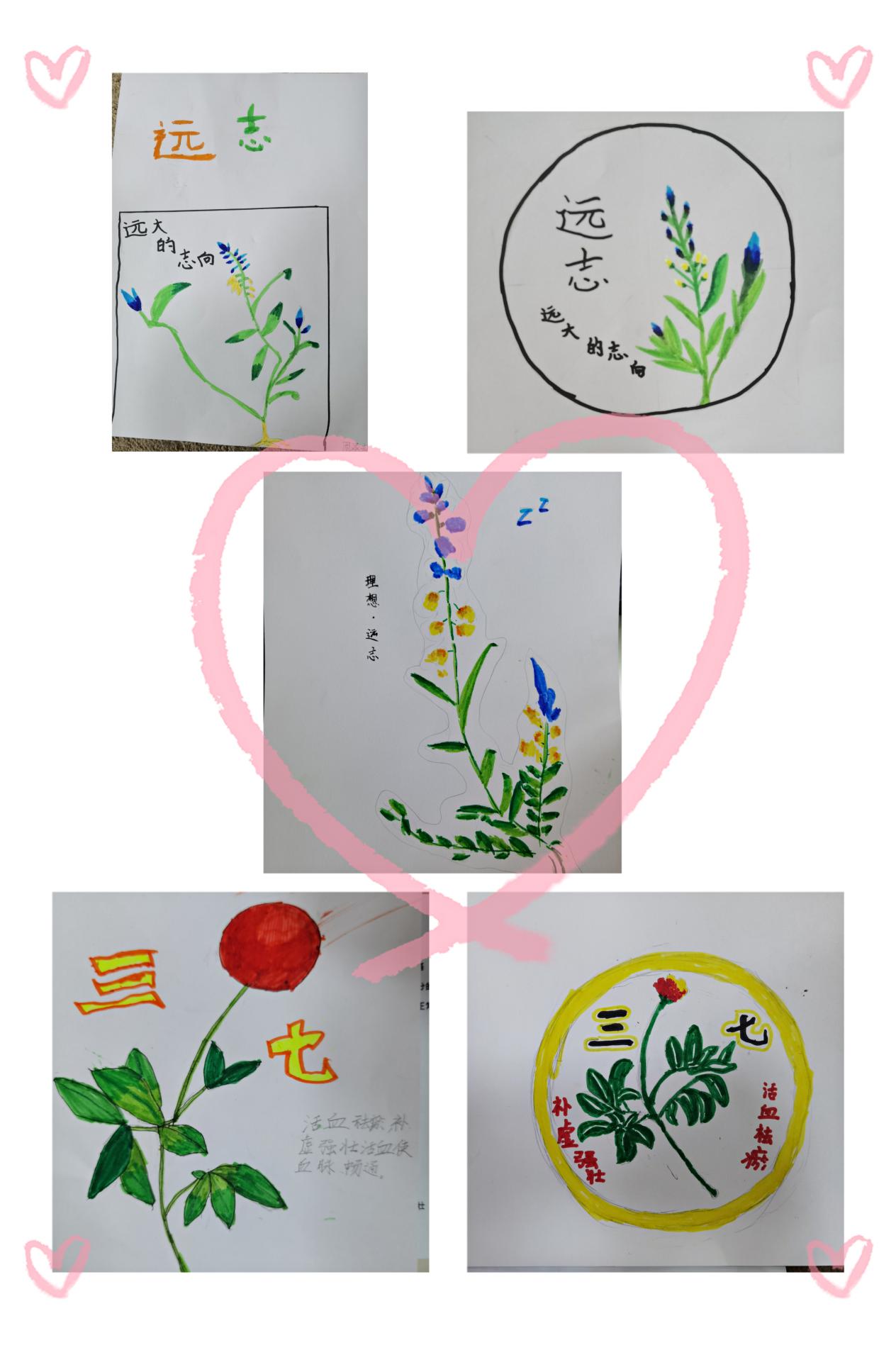 【博学广志】识医药，品文化，乐传承——“岐黄校园行”中医药文化游学夏令营顺利开营_html_m7fb4788c.jpg