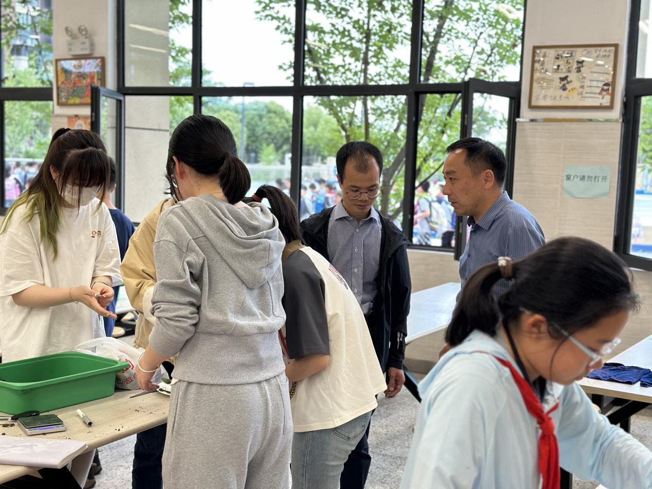 【博学广志】中草药引领实践 蒲公英伴我成长n——金小广志五年级开展蒲公英茶的加工与识别_html_34f61a1.jpg