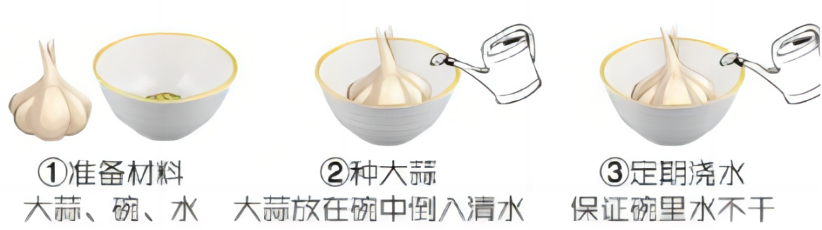 图片9.png