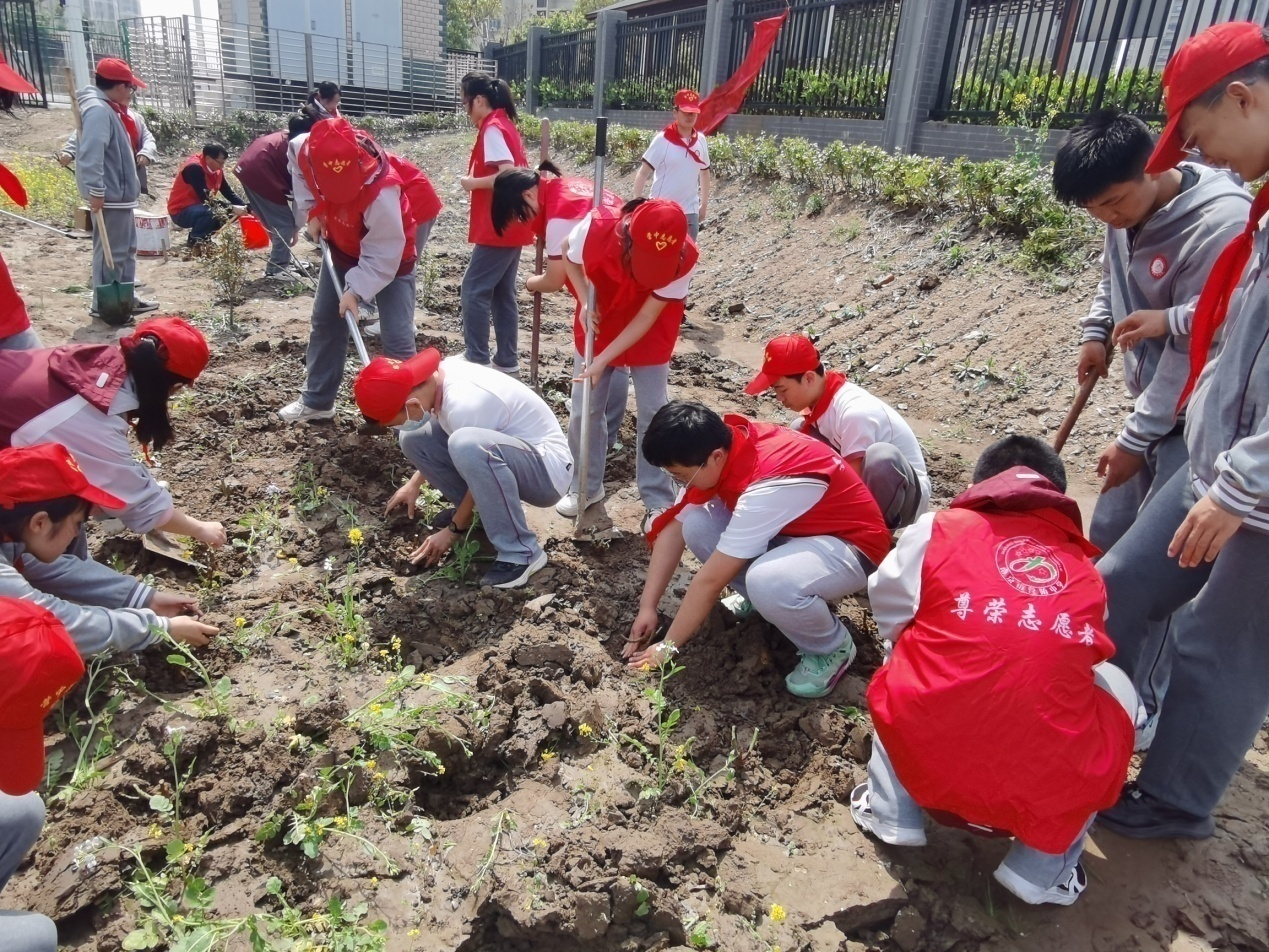 走进自然 播种春天_html_29e8638f.jpg