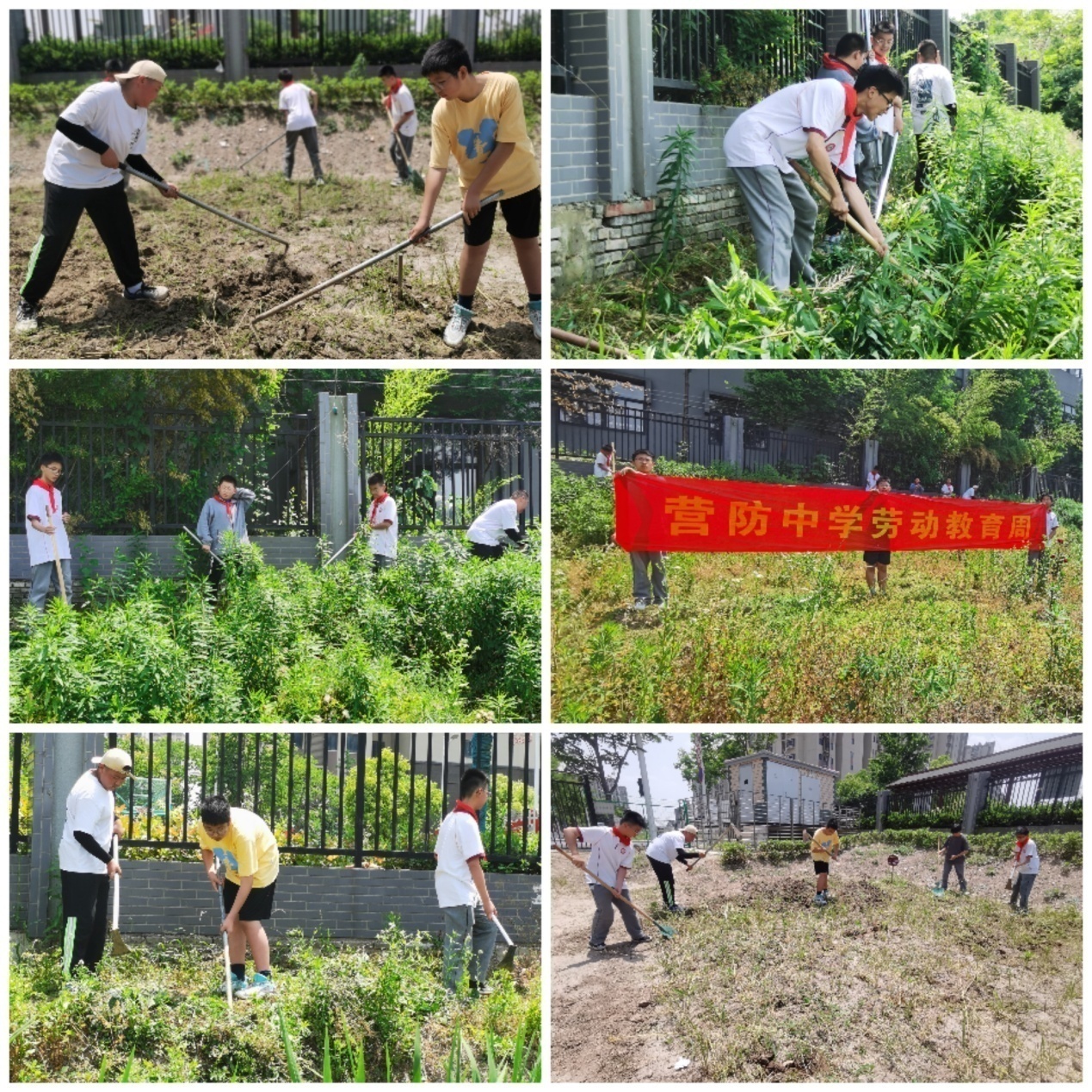 5月份劳动教育新闻稿_html_m3827d9d.jpg