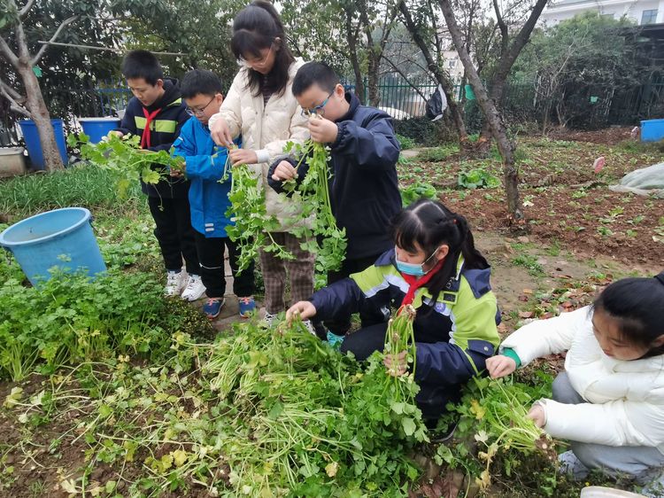 英语绘本与教材的融合_html_54c24a20.jpg