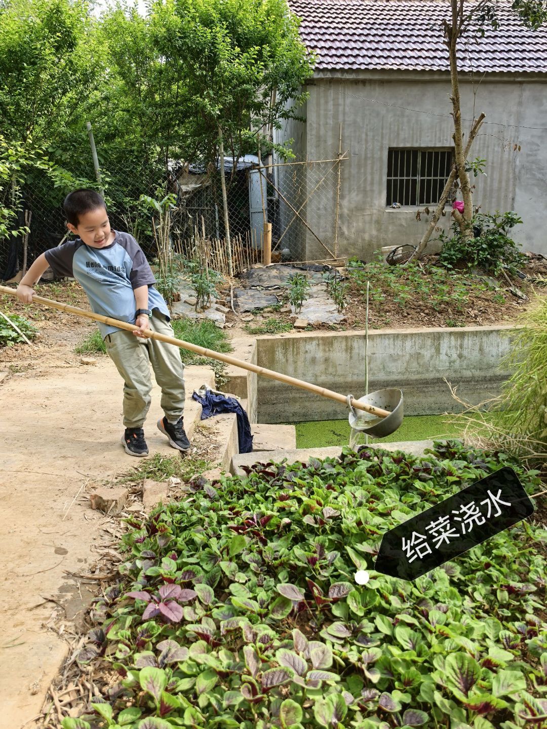 五一劳动节 低年级组_html_5f14459d.jpg
