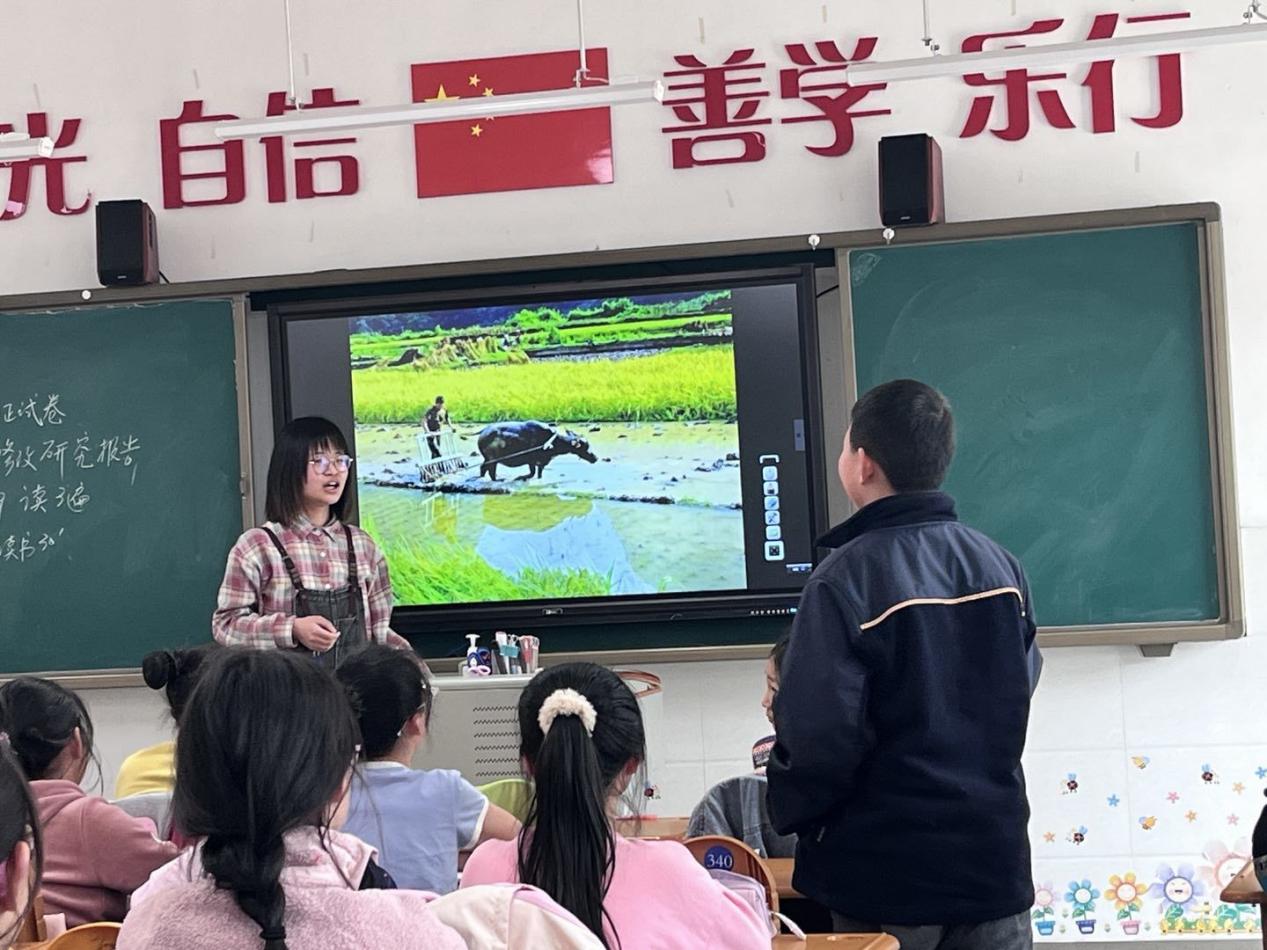 环教课 新闻稿_html_m23178327.jpg