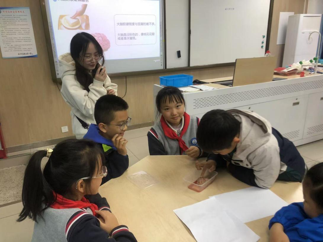 项目式学习助力科学概念建构主题教研之我们的大脑一_html_57b1510b.jpg