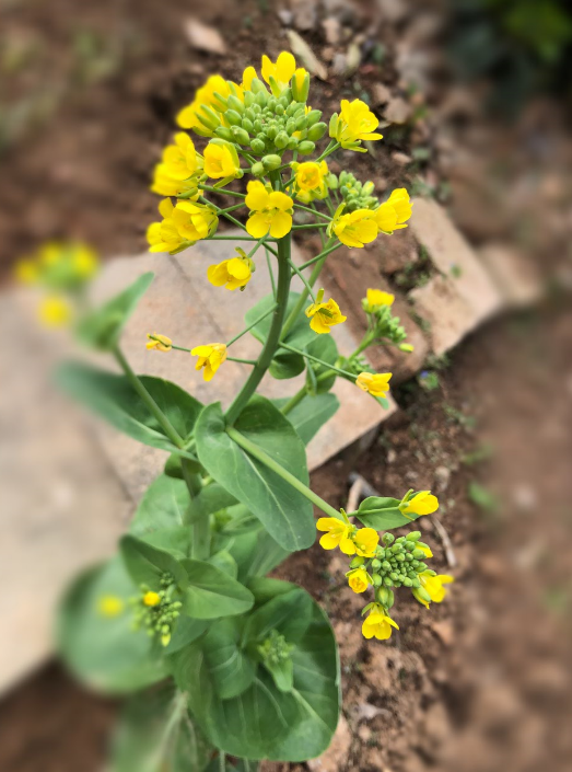 X9_)VHXEQMW0I(E150){ON8.png X9_)VHXEQMW0I(E150){ON8.png