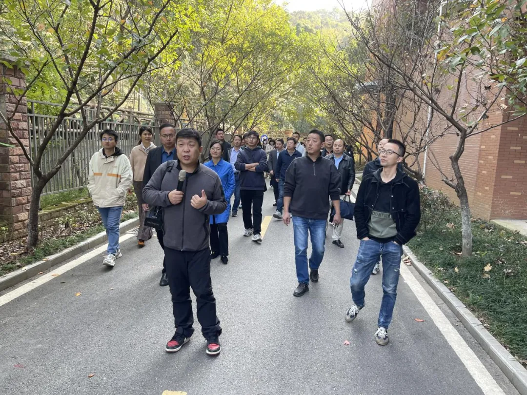 图片8.png