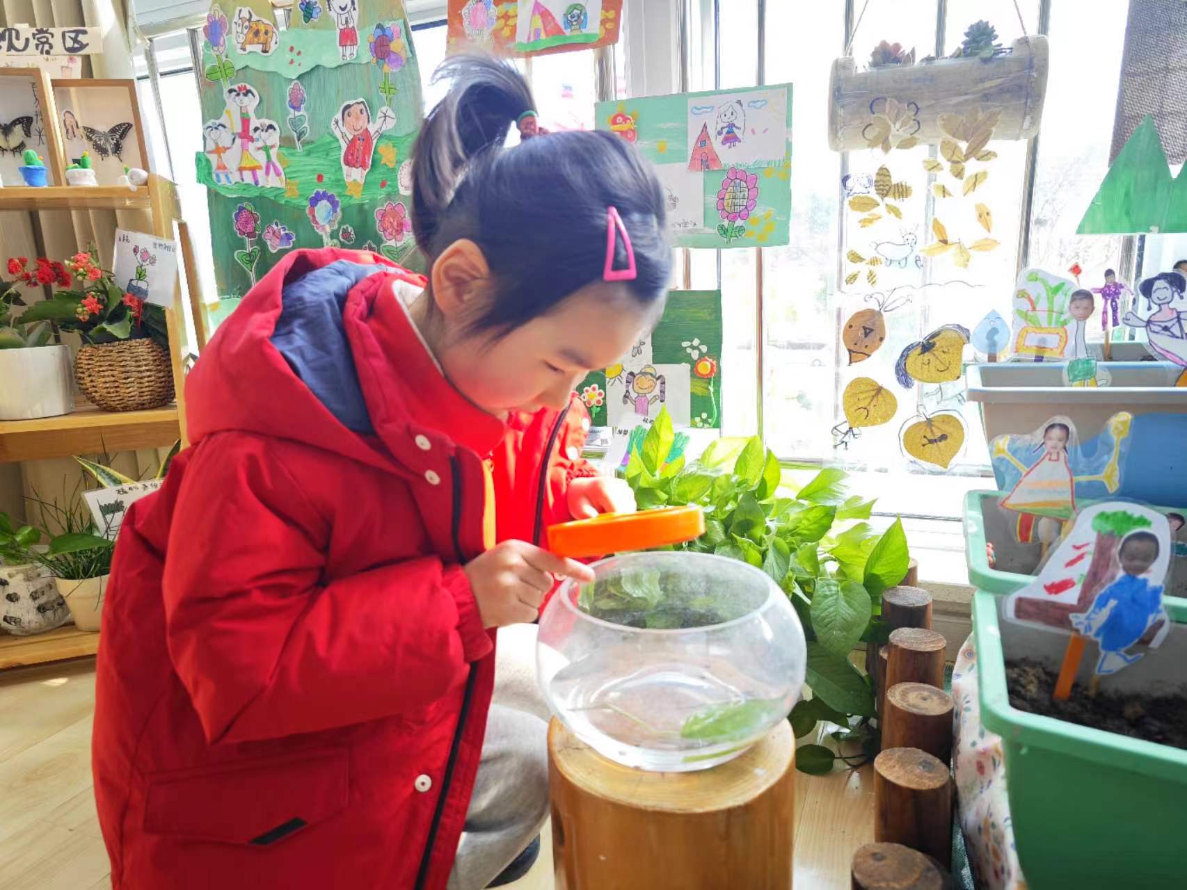照顾小金鱼.jpg