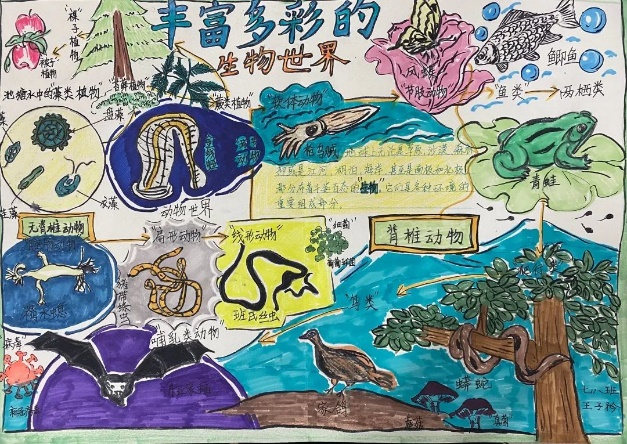 八年级暑期作业_html_m5973a410.jpg