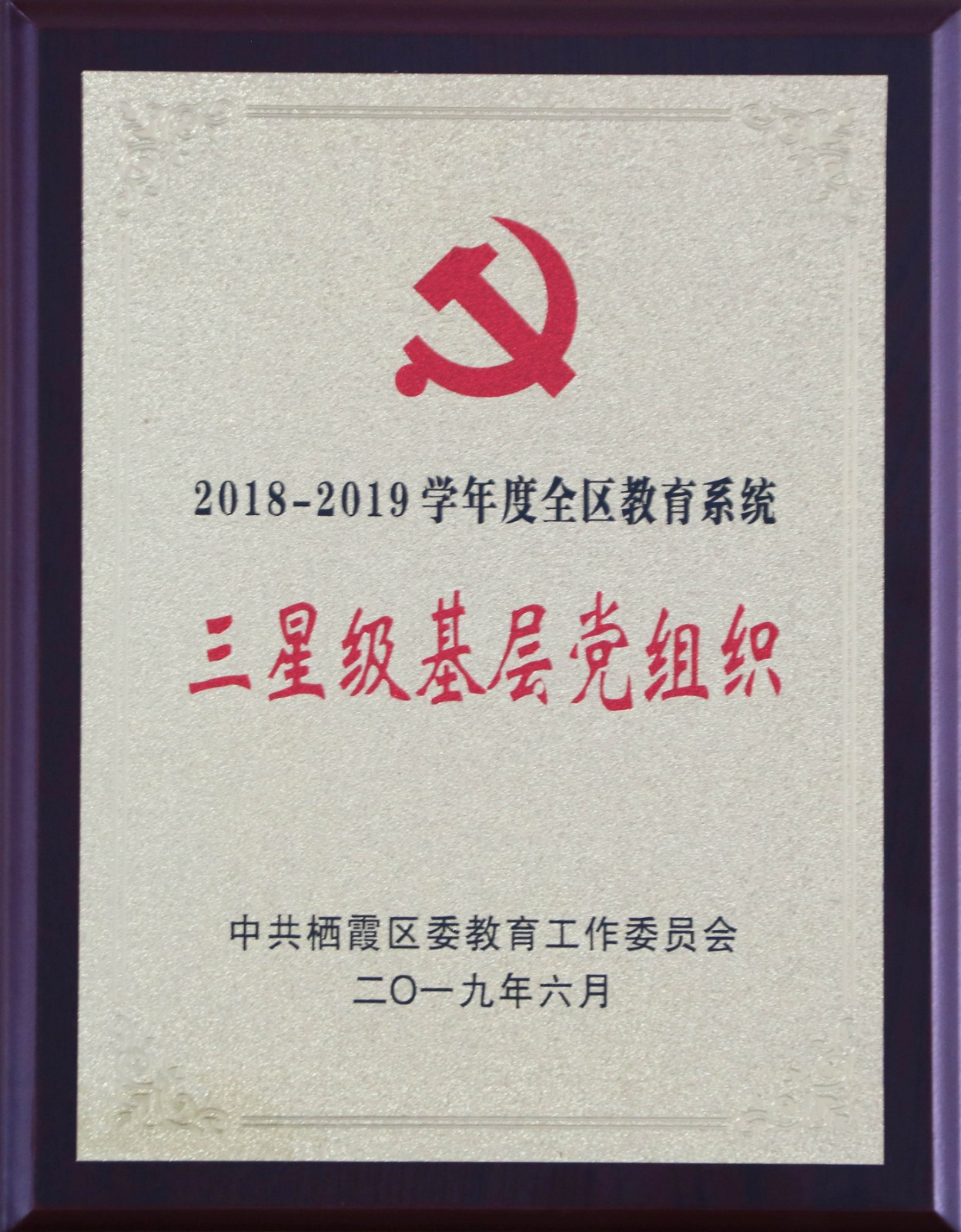 16 2018—2019学年度全区教育系统三星级基层党组织.jpg