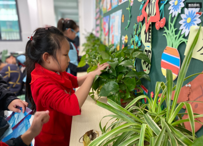 【正学丁三·德育】家校齐心协力，共建美丽校园——丁家庄第三小学大扫除活动侧记_html_m2e160982.png