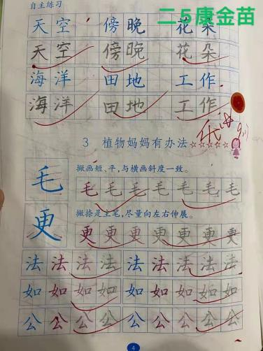 图片28.png