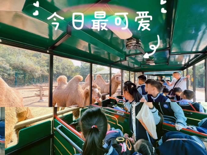 满媛 秋游报道_html_6386b442.jpg