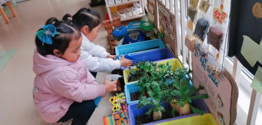 迈幼一分园3月12日植树节报道 （最终版本）_html_7f943850.jpg
