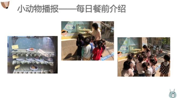 9.27小班组主题中审议 张茜茜_html_m38ad4d66.png