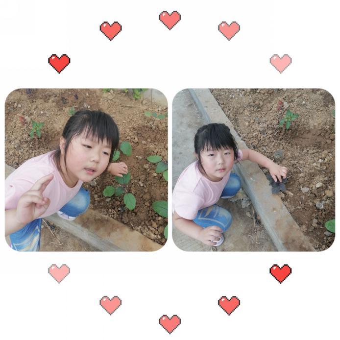 2020.6.5 汪莹 绿色生命 童心守护(1)_html_222e71be.jpg