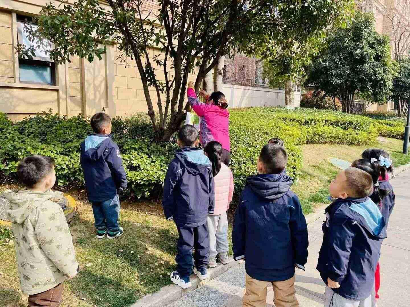 2025.3.10王牧云【生命迈幼·童年畅玩】植一抹绿色，溢一片春光——迈幼瑜憬湾分园植树节活动docx_html_m315fd87b.jpg