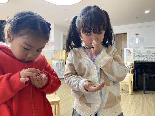 2023.3.11植树节报道_html_m66638719.jpg