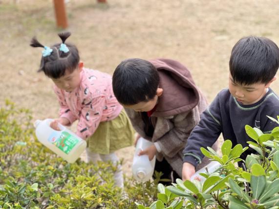 2023.3.11植树节报道_html_e800cd6.jpg