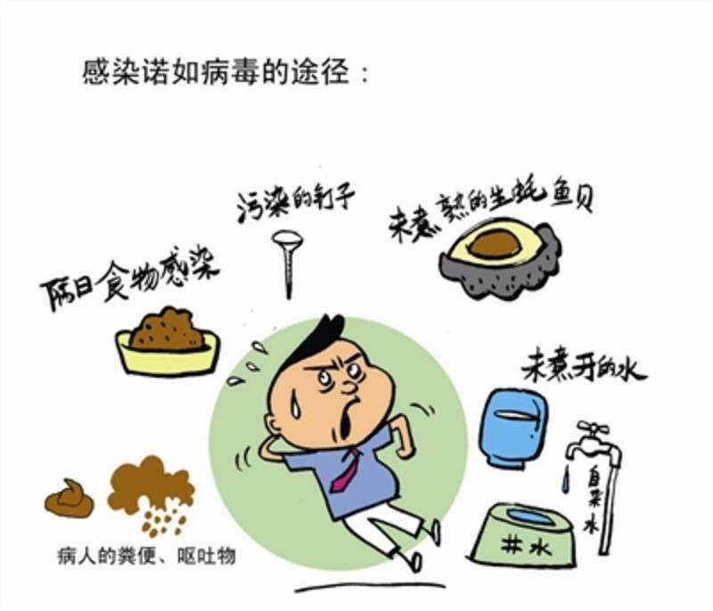 【生命迈幼&middot;卫生保健】守护幼儿健康 远离诺如病毒_html_m64d01d9b.jpg