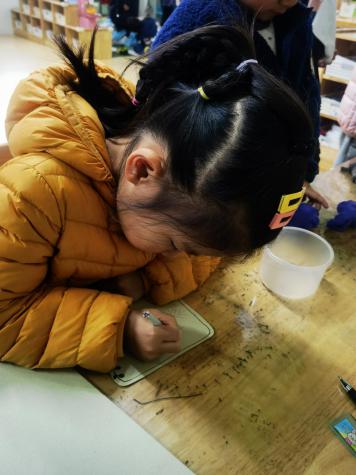 20210312新城植树节活动_html_m5803f95e.jpg