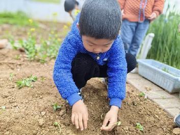 2023.5.29““植”此春绿 乐享耕趣” ——种植团活动_html_4daccd0c.jpg