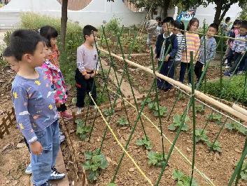 2023.5.29““植”此春绿 乐享耕趣” ——种植团活动_html_m3e8ca94c.jpg