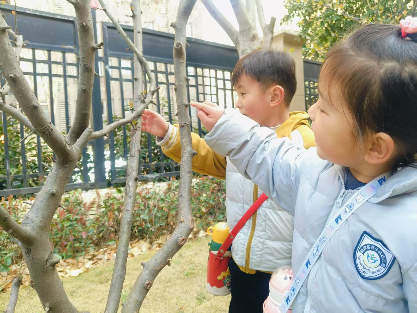 【生活燕幼·园区动态】下庙分园：“浇”个朋友，共“植”未来——植树节活动_html_m693ac616.jpg