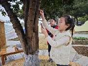 20250312植树节活动_html_m79ad3319.jpg
