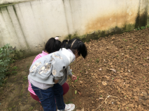 祥和园大班年级组清明项目活动新闻稿_html_m9581a14.png