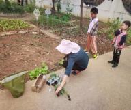 20210531祥和园种植团新闻_html_m5eaab00b.jpg