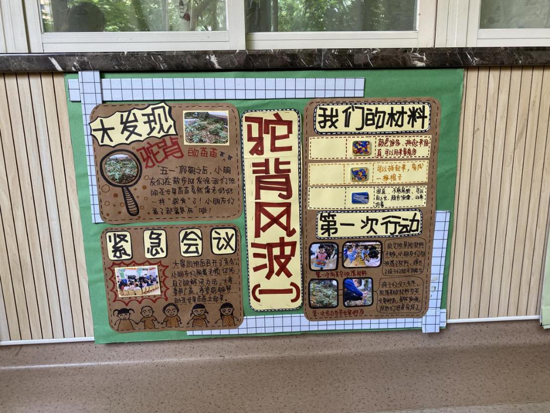 教研组动态_html_m77ca1cf1.jpg