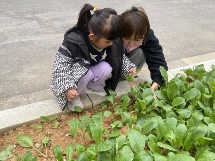 20230911【园区动态】燕鸣苑分园：“传承行知思想，践行生活教育”——园所介绍_html_m5794a86d.jpg