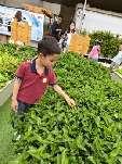 20250411【生活燕幼·园区动态】中心园：采撷春光，一起“趣”春游——亲子春游活动_html_m6d9bdc46.jpg