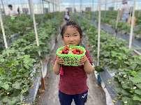 20250411【生活燕幼·园区动态】中心园：采撷春光，一起“趣”春游——亲子春游活动_html_m65be525e.jpg